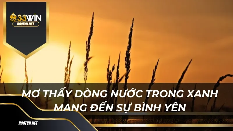 Mơ thấy dòng nước trong xanh mang đến sự bình yên